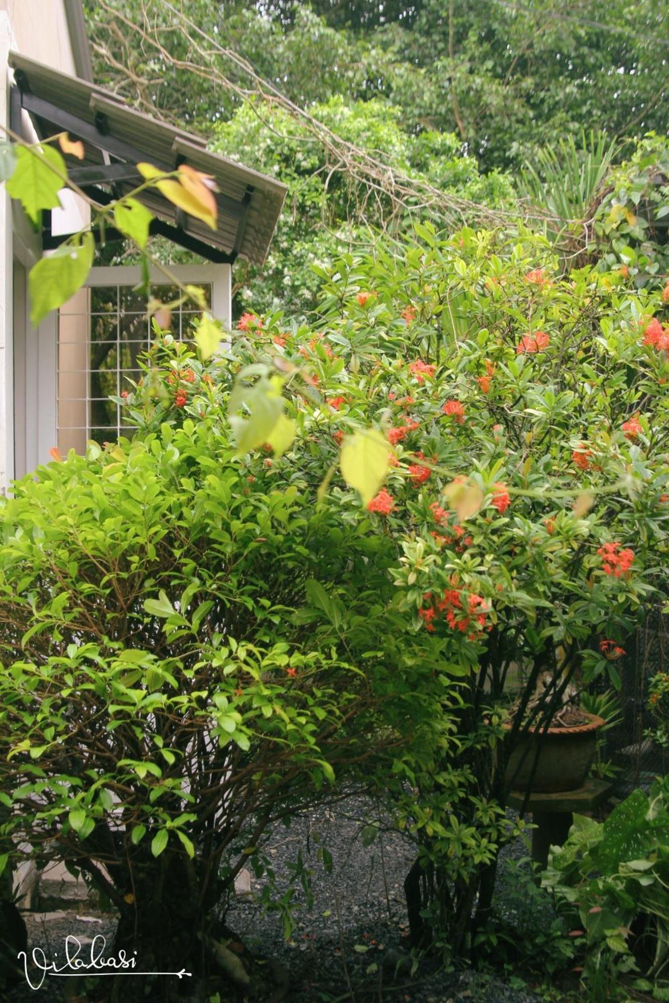 Vila Basi Nguyet Hang ภายนอก รูปภาพ